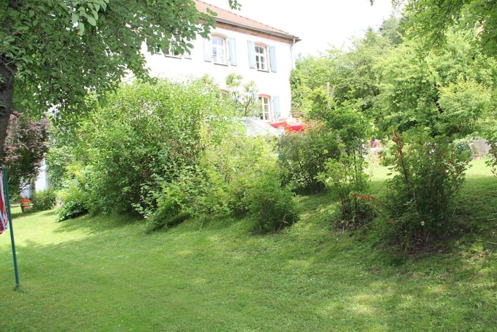 Haus Mit Geschichte In Maehring Apartment Exterior photo